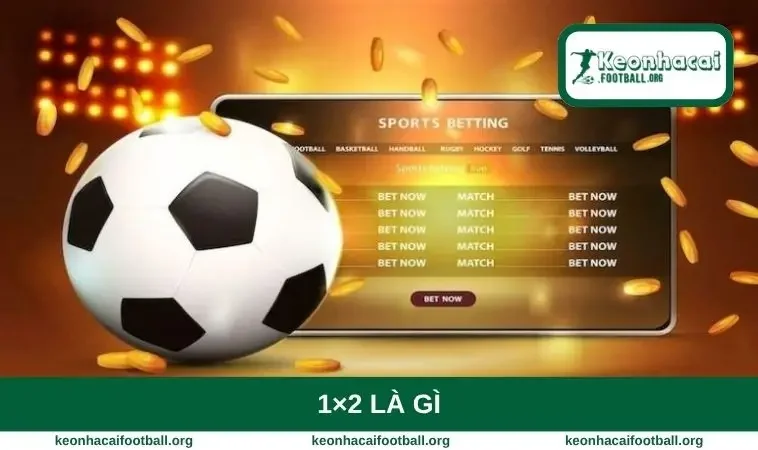 1x2 là gì