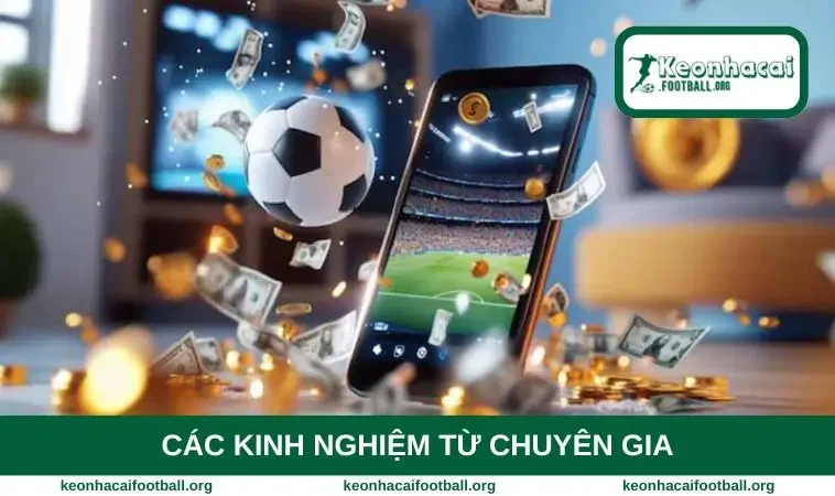 Các kinh nghiệm từ chuyên gia