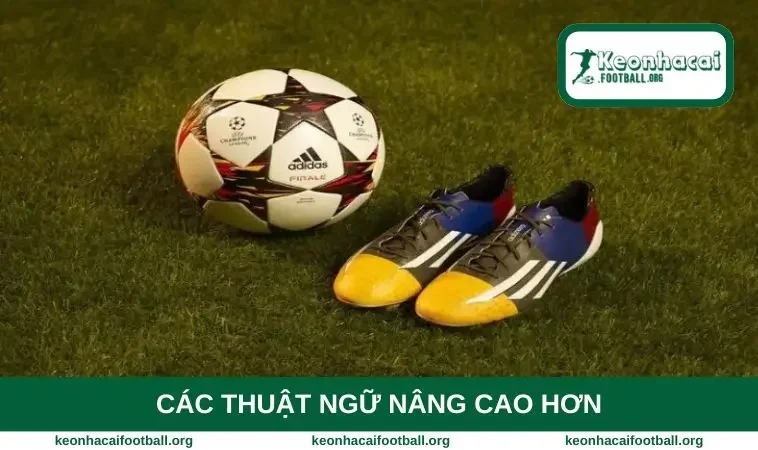 Các thuật ngữ nâng cao hơn