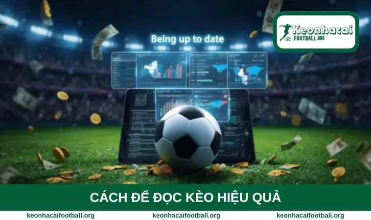 Cách để đọc kèo hiệu quả