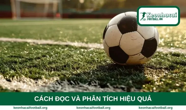Cách đọc và phân tích hiệu quả