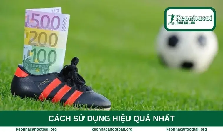 Cách sử dụng hiệu quả nhất