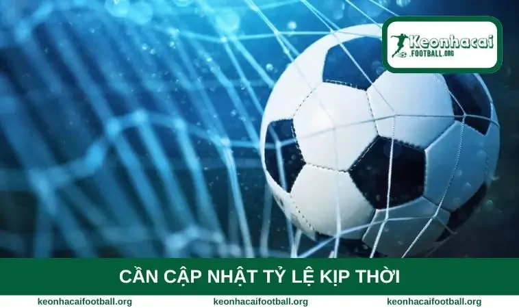 Cần cập nhật tỷ lệ kịp thời