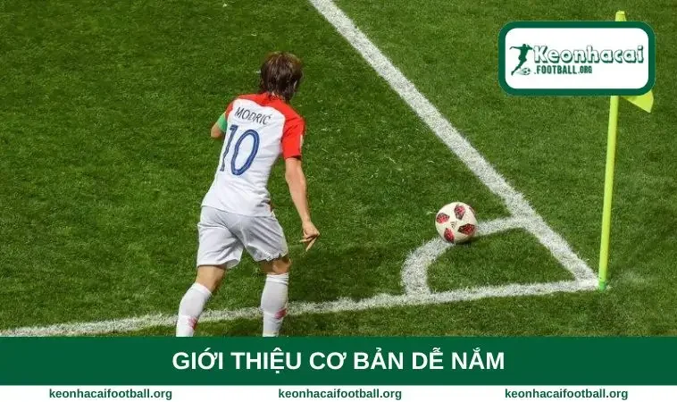 Giới thiệu cơ bản dễ nắm