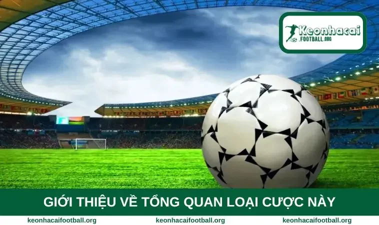 Giới thiệu về tổng quan loại cược này