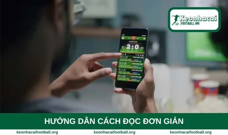 Hướng dẫn cách đọc đơn giản
