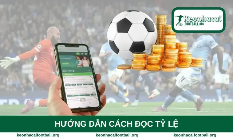 Hướng dẫn cách đọc tỷ lệ