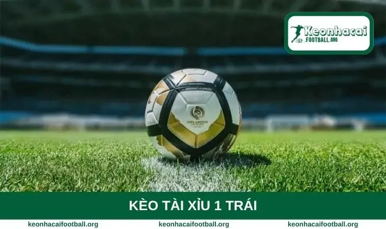tài xỉu 1 trái
