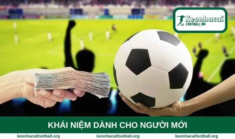 Khái niệm dành cho người mới