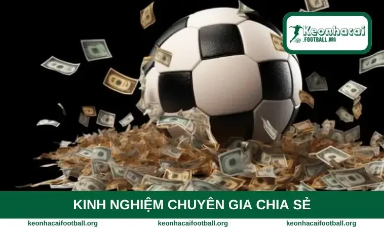 Kinh nghiệm chuyên gia chia sẻ