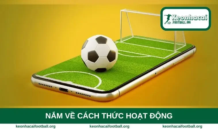 Nắm về cách thức hoạt động