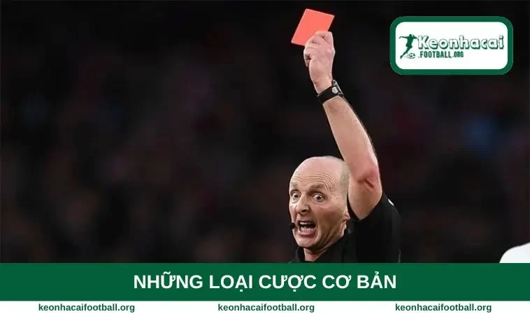 Những loại cược cơ bản