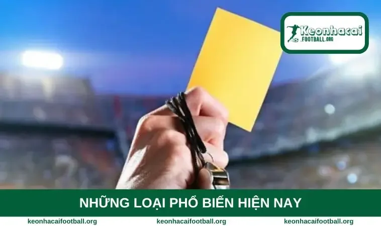 Những loại phổ biến hiện nay