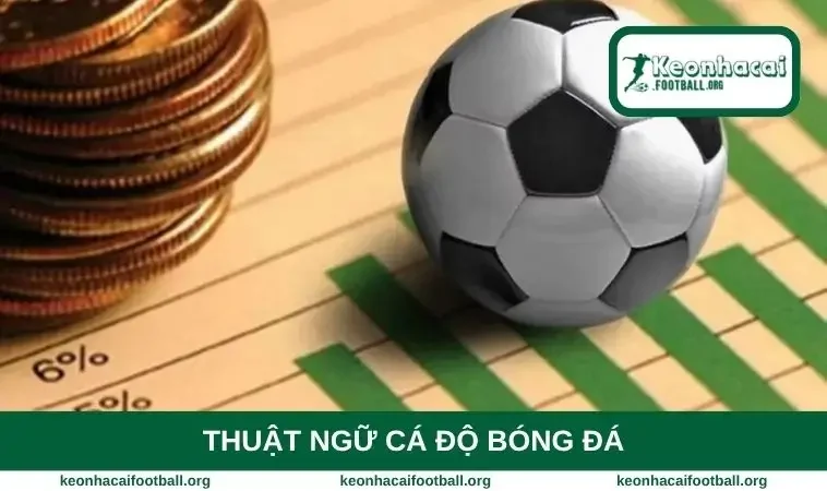 Thuật ngữ cá độ bóng đá
