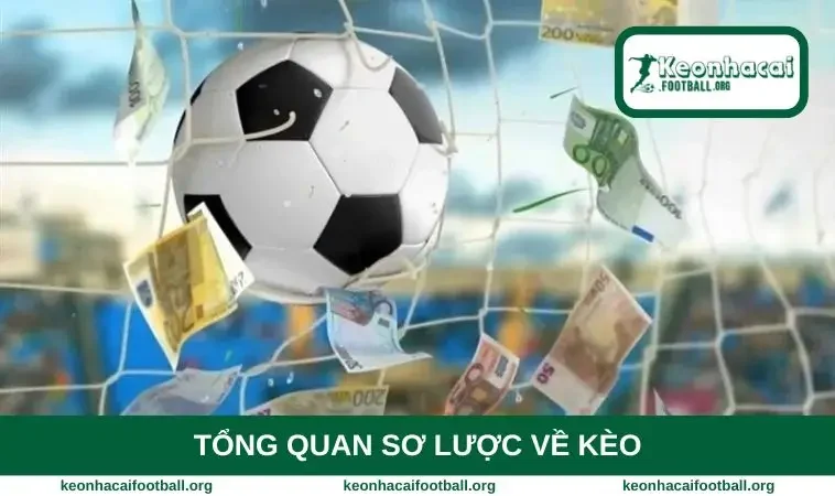 Tổng quan sơ lược về kèo