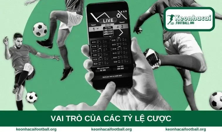 Vai trò của các tỷ lệ cược